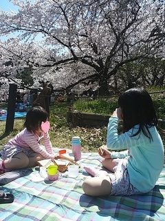 20150402_125313.jpg