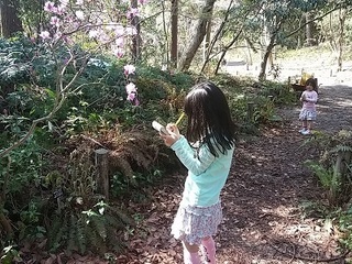 20150402_135836.jpg