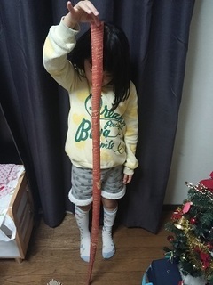 20151220_200001.jpg
