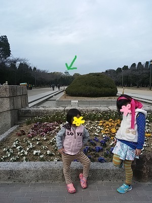 20160213_123141.jpg