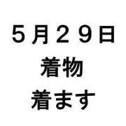 529.jpg