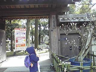 img0309f518zikfzj.jpg