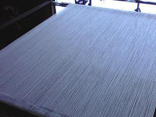 img1f56655fzik8zj.jpg