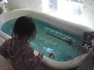 img95cbf06fzikdzj.jpg